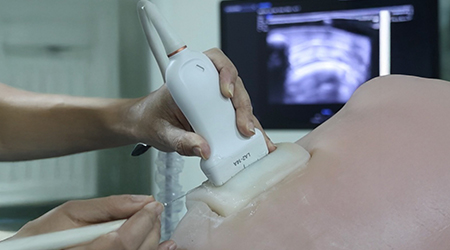 MSK Upper Limb Simulator